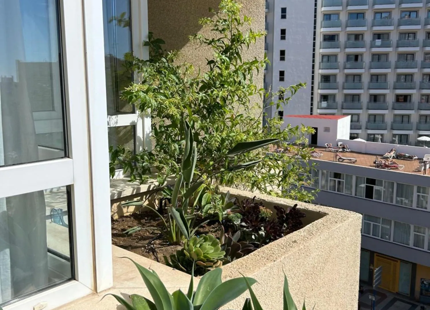 Oasis With Terrace And Sea Views With Rooftop Pool Torremolinos Apartment