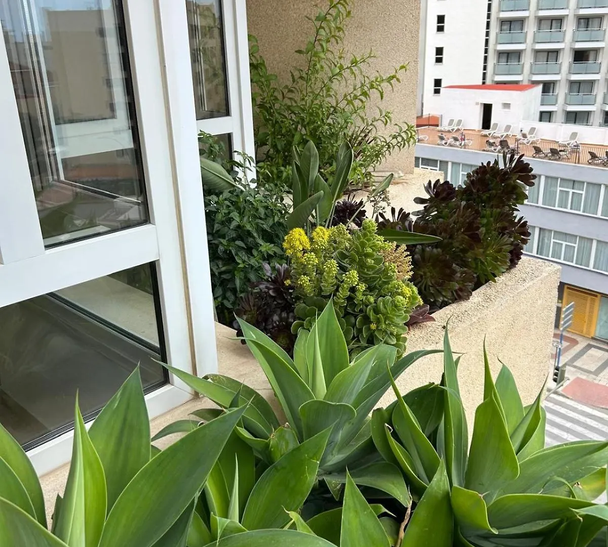Apartment Oasis With Terrace And Sea Views With Rooftop Pool Torremolinos